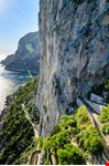Capri_374969419-min.jpeg