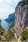 Capri_410689248-min.jpeg