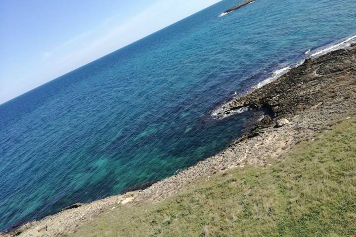 Carovigno, tutto il Mediterraneo in un weekend d'autunno