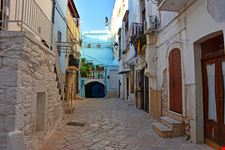 casamassima_1238508862