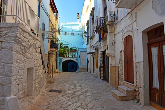 casamassima_1238508862 casamassima_1238508862  