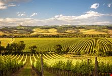 castello banfi_693669583