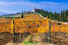 castello banfi_762358252