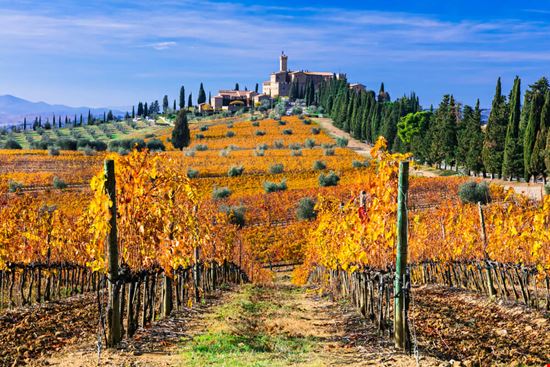 castello banfi_762358252 castello banfi_762358252  