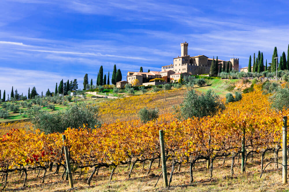 castello banfi_763054384