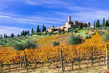 castello banfi_763054384