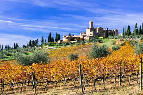 castello banfi_763054384 castello banfi_763054384  