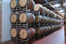 castello banfi_763900378