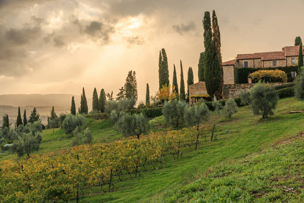 castello banfi_763900405