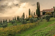castello banfi_763900405