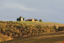castello banfi_763914169