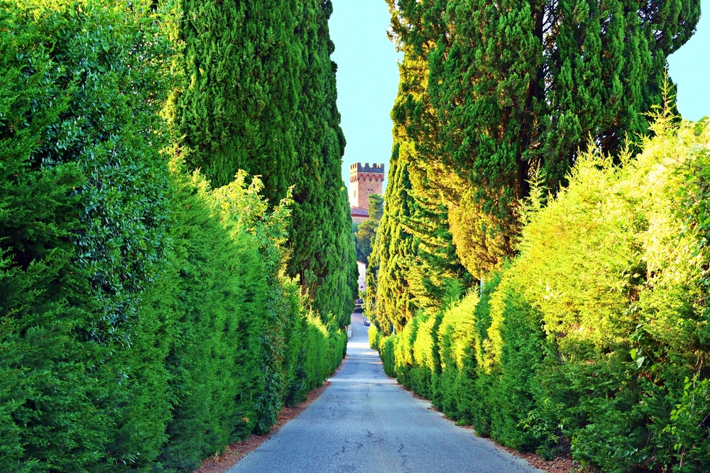 Castello di Poppiano