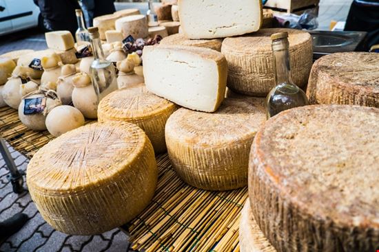 casu-marzu casu-marzu  
