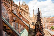 cattedrale di strasburgo_754057219