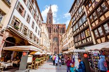 cattedrale di strasburgo_754881997