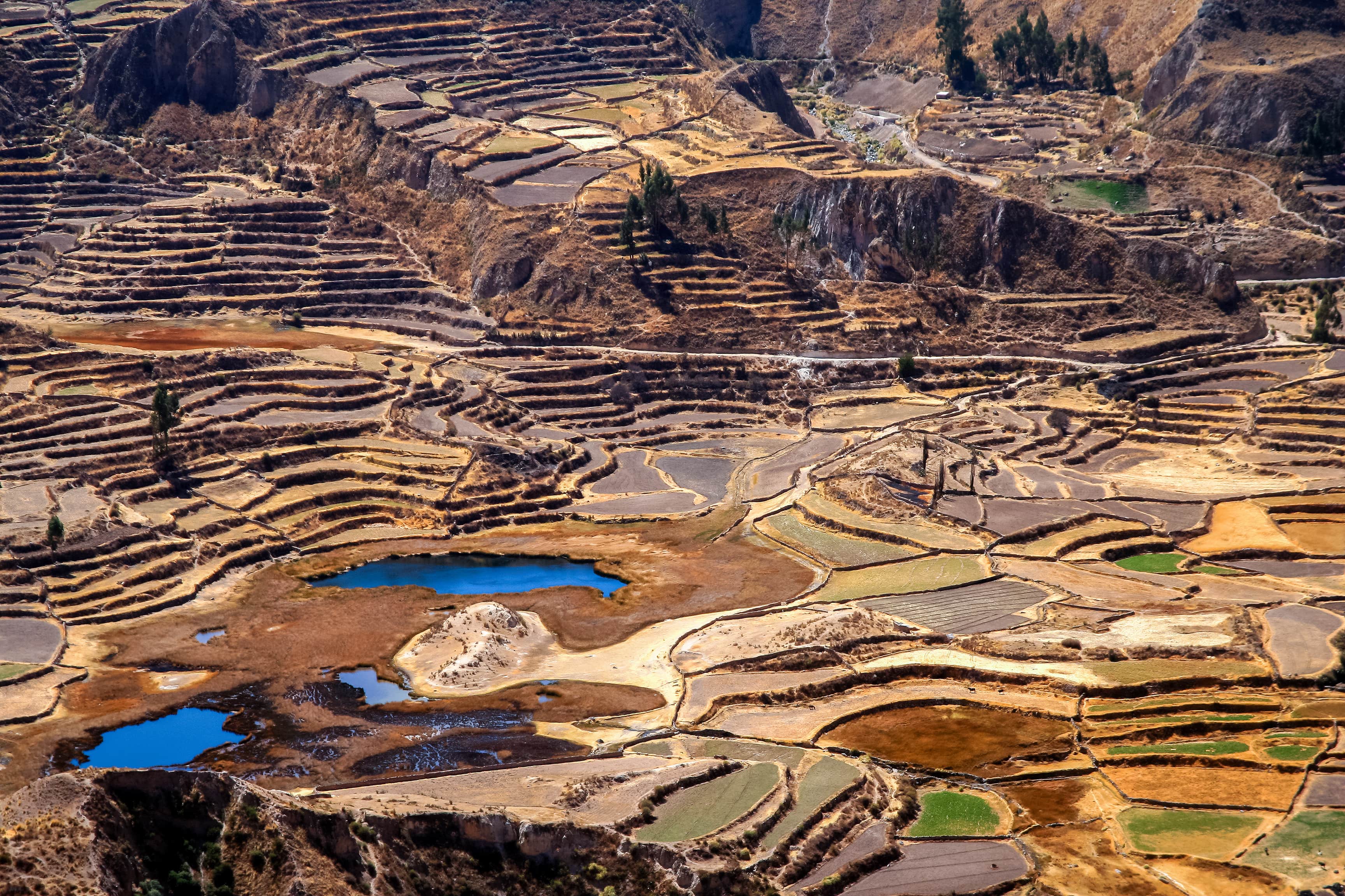 Colca_143759275-min.jpeg