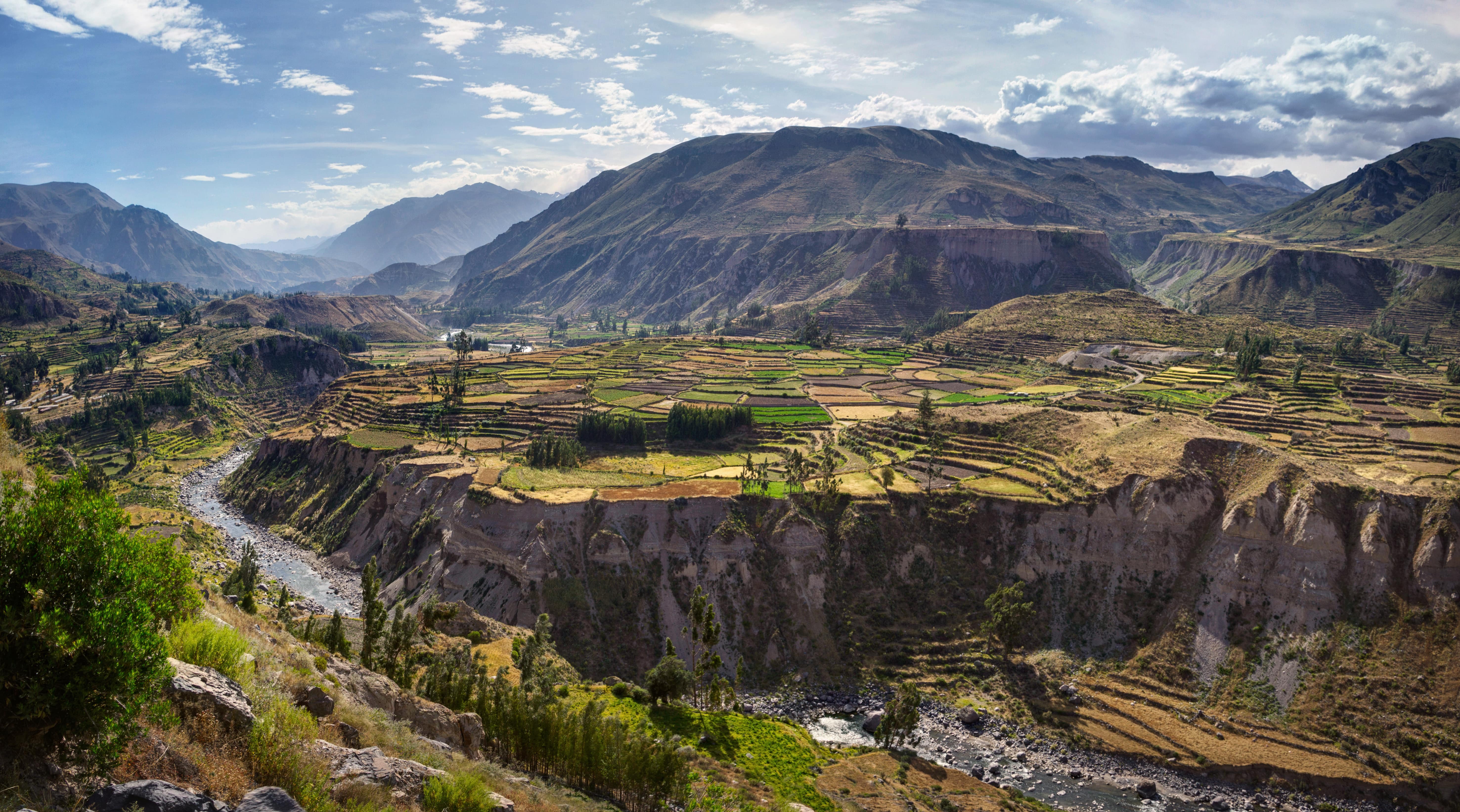 Colca_195384448-min.jpeg