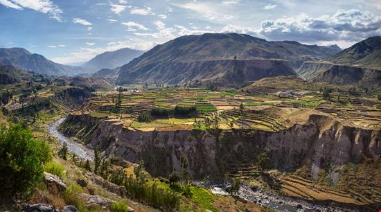 Colca_195384448-min.jpeg Colca_195384448-min.jpeg  