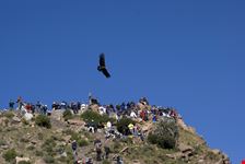 Colca_227482286-min.jpeg