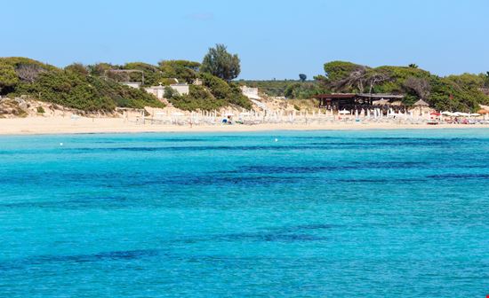 Colimena_181029120-min.jpeg Colimena_181029120-min.jpeg  