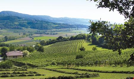 colli-berici