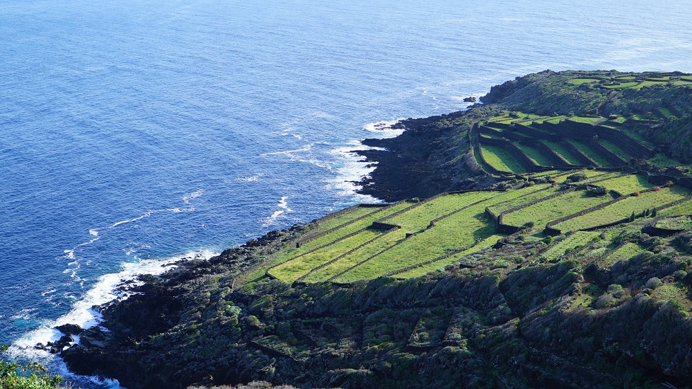 Vini Pantelleria DOC: eccellenza del territorio