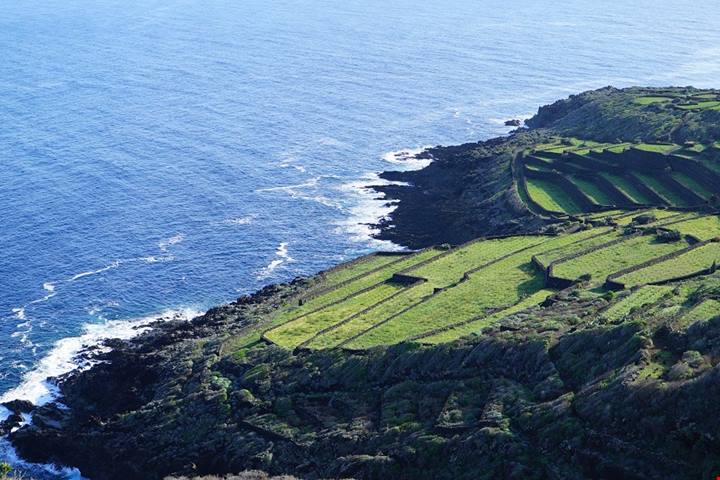 Le eccellenze siciliane fanno rete | PaesiOnline