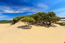 dune di piscinas_140038816