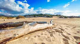 dune di piscinas_785861245