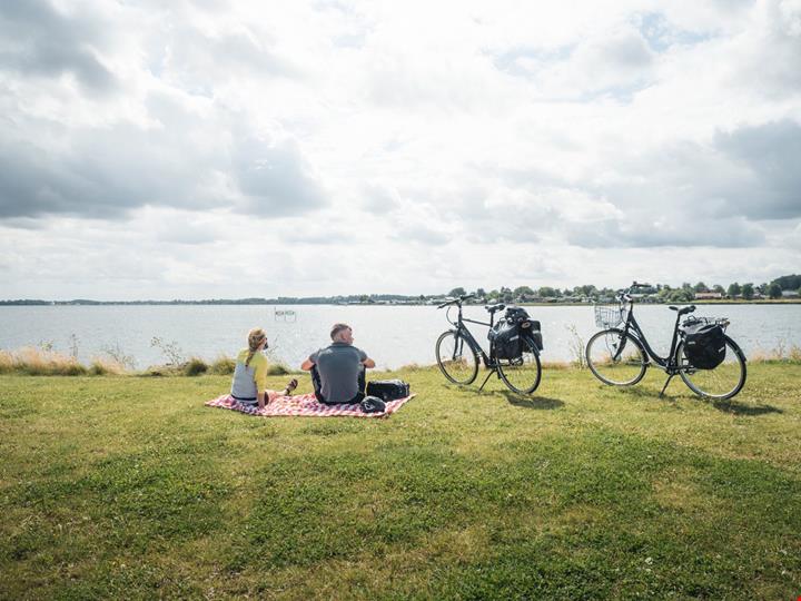 electric-bikes-denmark-8_Â©Daniel Villadsen-medium