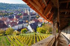 Esslingen_1240486144
