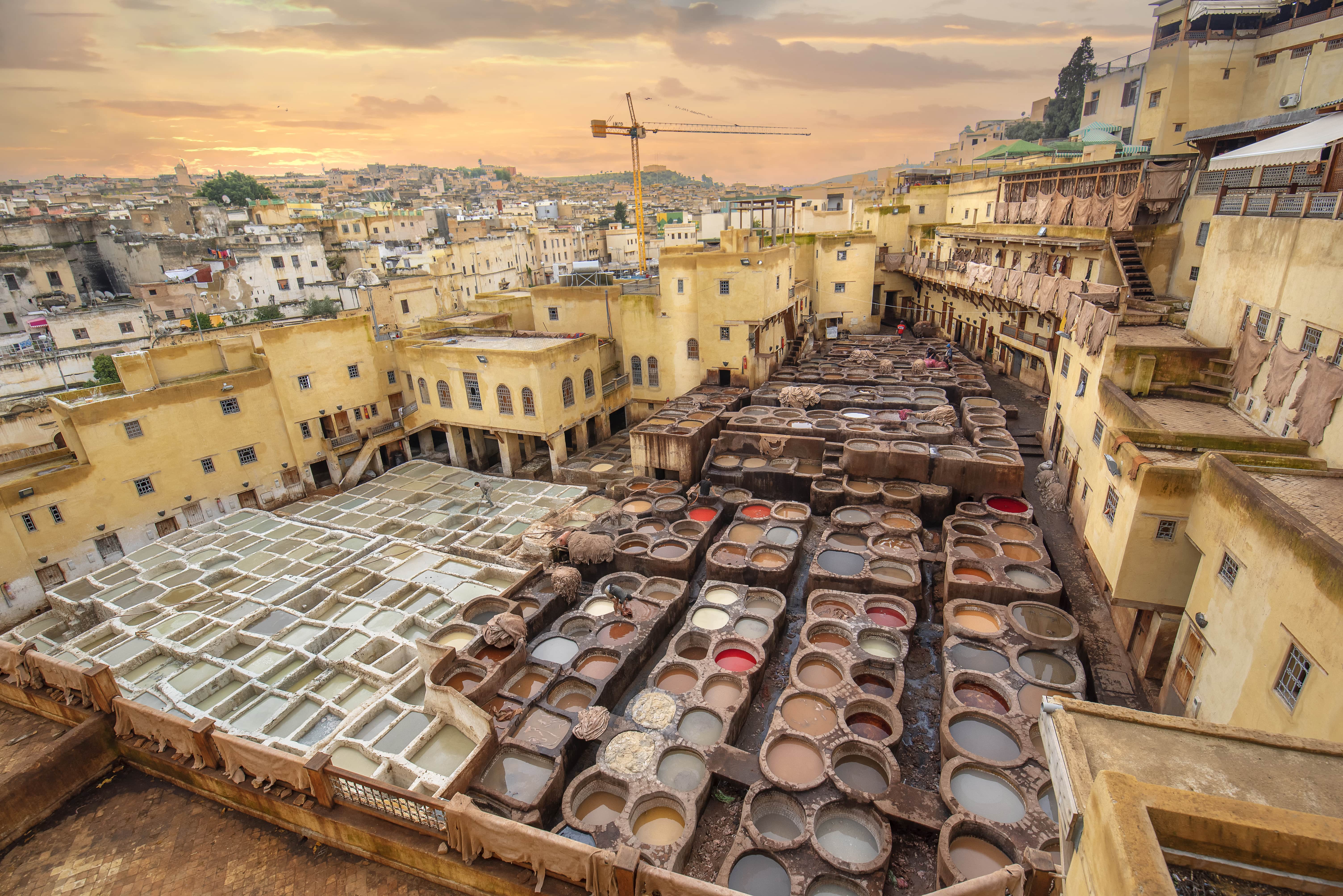Fes_315838970-min.jpeg