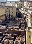 Fes_316217022-min.jpeg