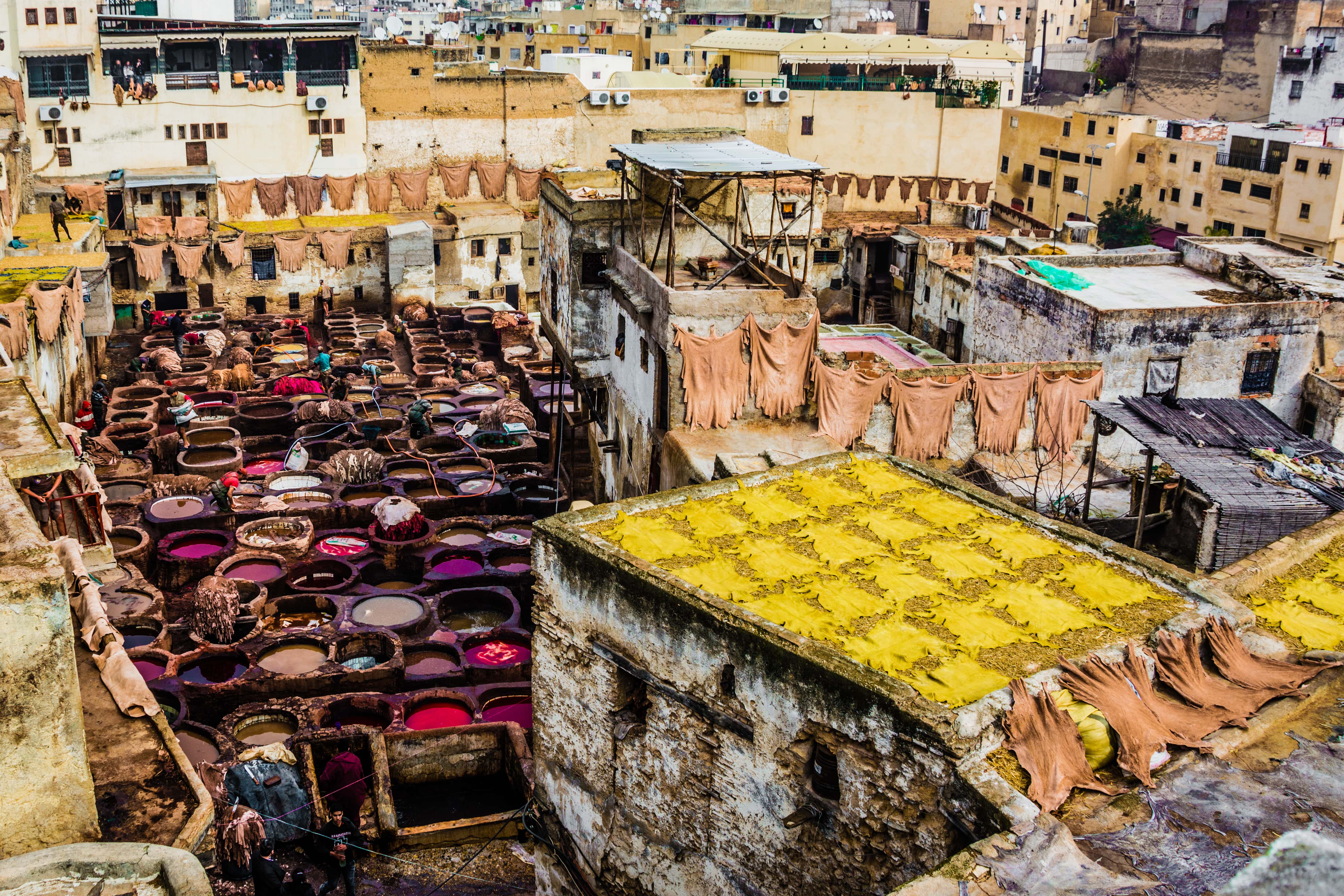 Fes_374202798-min.jpeg