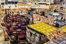 Fes_374202798-min.jpeg