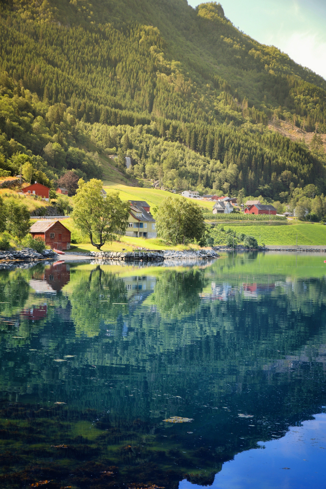 Fiordi_1146156992