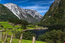 Fiordi_484209466