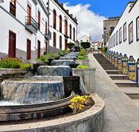 firgas_191558999 firgas_191558999