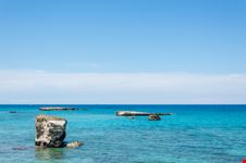Foca_1234173373
