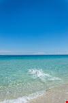 Foca_1234173424