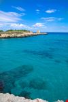 Foca_1757304407