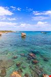 Foca_1757304416