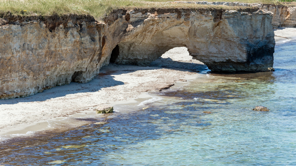 Foca_441096376