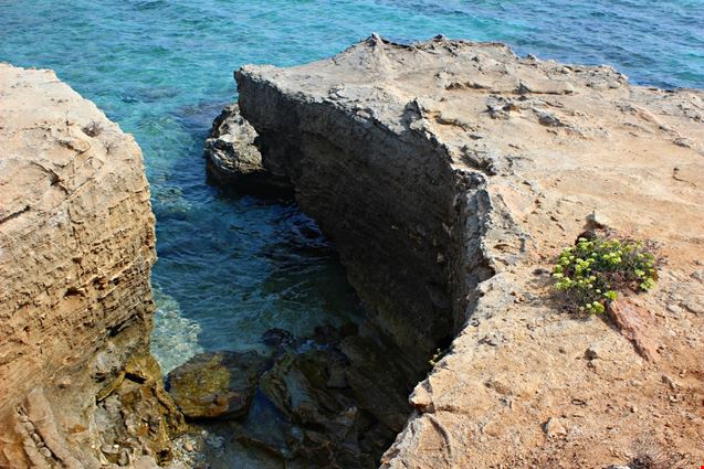 San_Foca