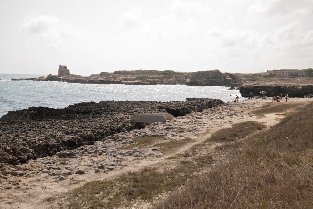 Foca_755360617