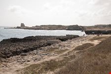 Foca_755360617