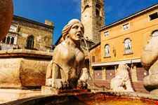 Fontana_Contarini