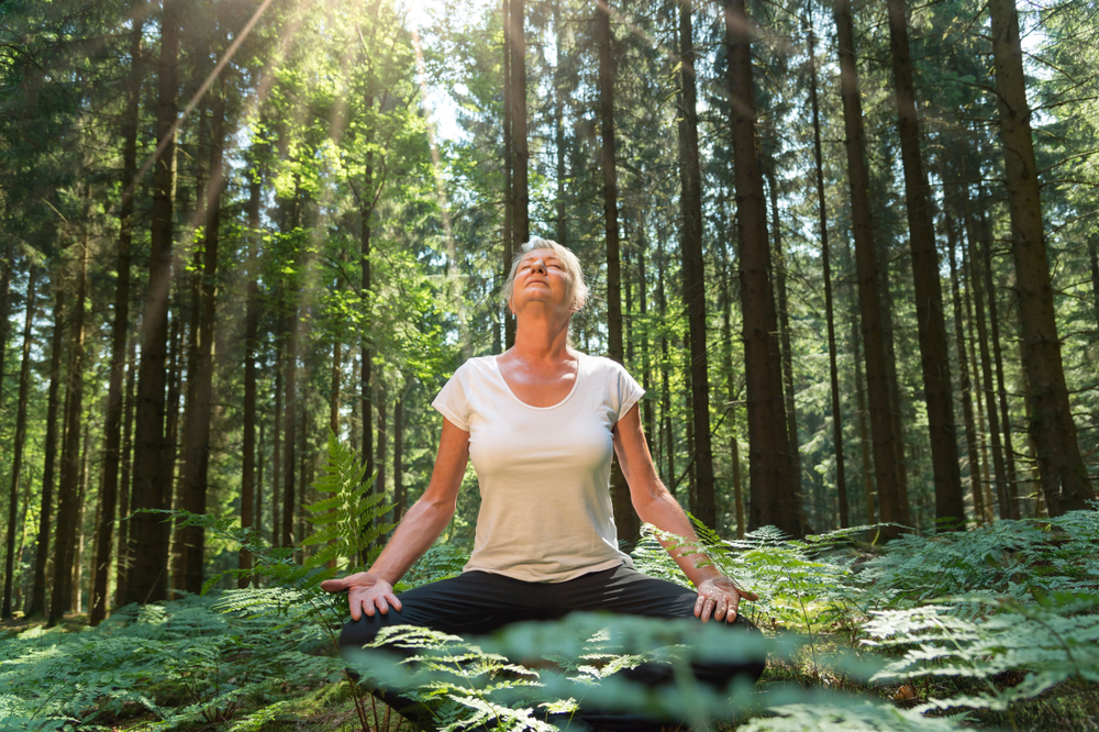 forest bathing_1441203488