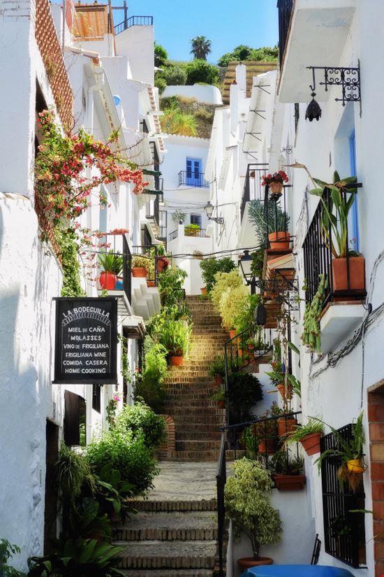 Frigiliana_1198666822 Frigiliana_1198666822  