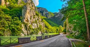 furlo_1837488874